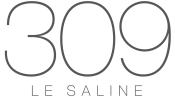 Logo309